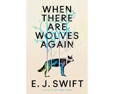 KNYGA Bookshop When There Are Wolves Again