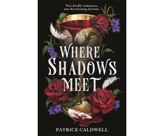 KNYGA Bookshop Where Shadows Meet