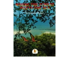 KNYGA Jeannie Baker Where the Forest Meets the Sea