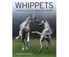 KNYGA Bookshop Whippets
