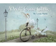 KNYGA Bookshop Wild Goose Chase