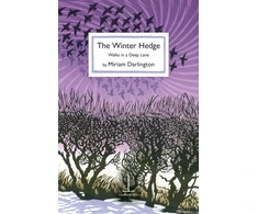 KNYGA Bookshop Winter Hedge