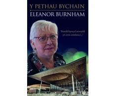 KNYGA Bookshop Y Pethau Bychain - Hunangofiant Eleanor Burnham