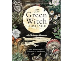 KNYGA Bookshop Žalias Witch Illustrated