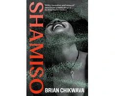 KNYGA Brian Chikwava Shamiso