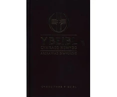 KNYGA British and Foreign Bible Society Beibl Cymraeg Newydd