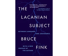 KNYGA Bruce Fink Lacanian Subject