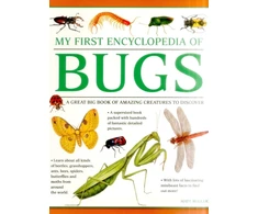 KNYGA Bugler Matt My First Encyclopedia of Bugs (giant Size)