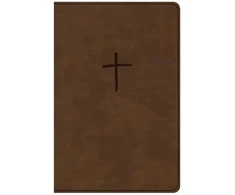 KNYGA C. S. B. Bibles CSB Bibles by Holman CSB Compact Bible, Brown LeatherTouch, Value Edition