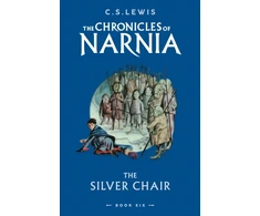 KNYGA C S LEWIS Sidabrinis Chair