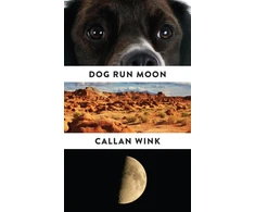 KNYGA Callan Wink Dog Run Moon
