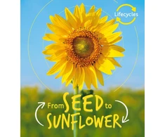 KNYGA Camilla De la Bédoyère Lifecycles: Seed to Sunflower