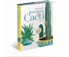 KNYGA Caroline Ball Splendour of Succulents &amp; Cacti