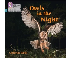 KNYGA Catherine Baker Owls in the Night