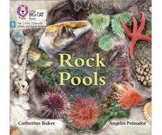 KNYGA Catherine Baker Rock Pools