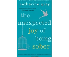 KNYGA Catherine Gray Unexpected Joy of Being Sober