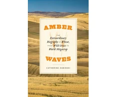 KNYGA Catherine Zabinski Amber Waves