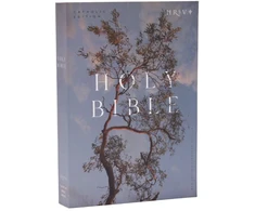 KNYGA Catholic Bible Press NRSV Catholic Edition Bible, Eucalyptus Paperback (Global Cover Series): Holy Bible