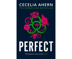 KNYGA Cecelia Ahern Puikus