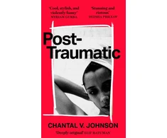 KNYGA Chantal V Johnson Post-Traumatic, Utterly compelling literary fiction about survival, hope and second chances