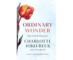 KNYGA Charlotte Joko Beck Ordinary Wonder, Zen Life and Practice