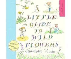 KNYGA Charlotte Voake Little Guide To Wild Flowers