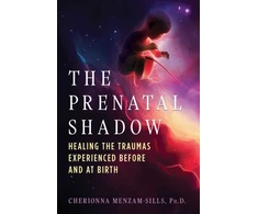 KNYGA Cherionna Menzam Sills Prenatal Shadow, the Traumas Experienced before and at Birth