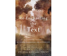 KNYGA Cheryl Bridges Johns Re–enchanting the Text – Discovering the Bible as Sacred, Dangerous, and Mysterious