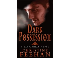 KNYGA Christine Feehan Dark Possession