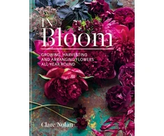KNYGA Clare Nolan In Bloom