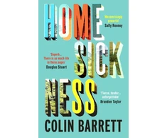 KNYGA Colin Barrett Undifferentiated Homesickness