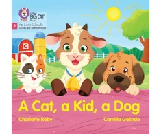 KNYGA Collins Big Cat Cat, a Kid and a Dog, Phase 2 Set 3 Blending Practice