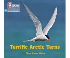 KNYGA Collins Big Cat Terrific Arctic Terns