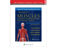 KNYGA CONROY Kendall's Muscles