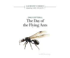 KNYGA COTTERILL Day of the Flying Ants