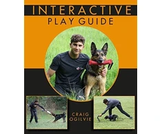 KNYGA Craig Ogilvie Interactive Play Guide