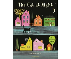 KNYGA Dahlov Ipcar Cat at Night