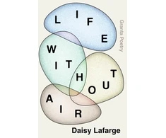 KNYGA Daisy Lafarge Life Without Air