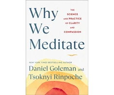 KNYGA Daniel Goleman Why We Meditate, The Science and Practice of Clarity and Compassion