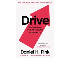 KNYGA Daniel H Pink Rožinė Daniel H Drive: The Surprising Truth About What Motivates Us