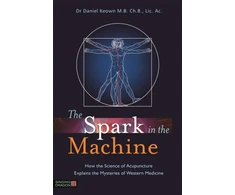 KNYGA Daniel Keown Spark in the Machine