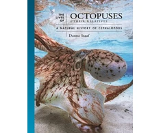 KNYGA Danna Staaf Lives of Octopuses and Their Relatives