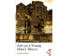 KNYGA Dannie Abse Ash on a Young Man's Sleeve