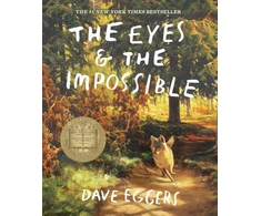 KNYGA Dave Eggers Eyes and the Impossible