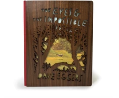KNYGA Dave Eggers Eyes and the Impossible