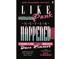 KNYGA Dave Rimmer Like Punk Never Happened