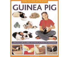 KNYGA David Alderton How to Look After Your Guinea Pig