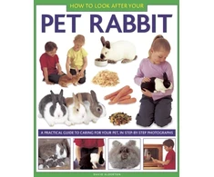 KNYGA David Alderton How to Look After Your Pet Rabbit