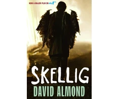 KNYGA David Almond Skellig