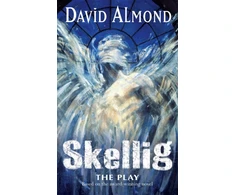 KNYGA David Almond Skellig The Play